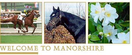 Welcome to Manorshire - Thoroughbred horse breeding establishment in Canterbury, New Zealand
